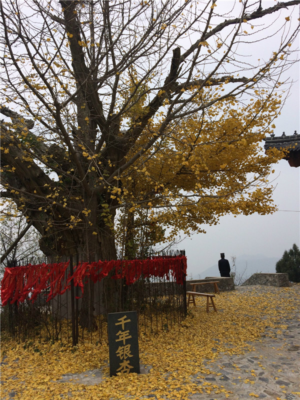 1433993183478470.jpg 1433993183478470.jpg