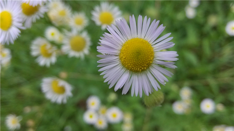 1433993181238826.jpg 1433993181238826.jpg